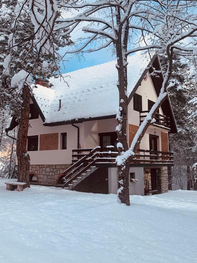 Vila Lucic Zlatibor Extérieur photo