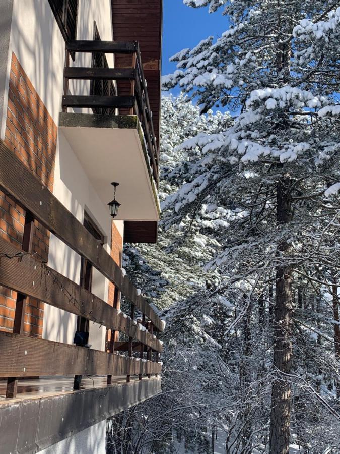 Vila Lucic Zlatibor Extérieur photo